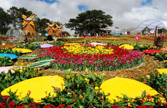 Mua vé máy bay Đà Nẵng – Đà Lạt tham dự Festival Hoa 2017