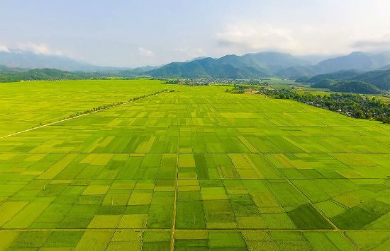 đặt vé máy bay đi điện biên giá rẻ nhất