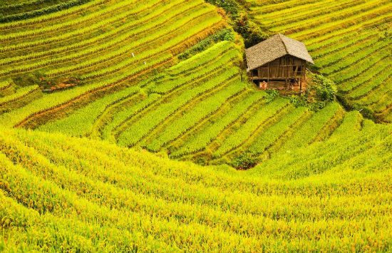 mua vé máy bay đi quế lâm