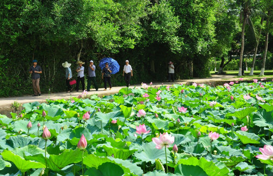 Rất nhiều vé rẻ chặng TPHCM – Vinh tháng 1 & 2/2018