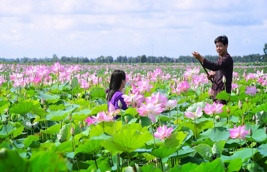 Săn vé rẻ Vietnam Airlines Vinh Sài Gòn, check-in cảnh đẹp Long An
