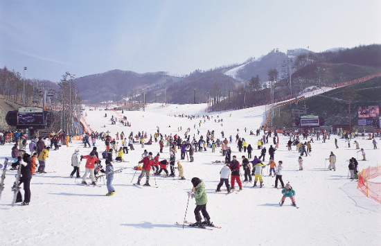 săn vé máy bay hà nội đi busan giá rẻ