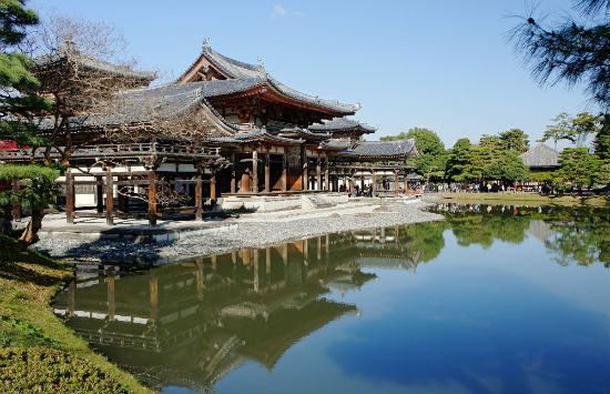 mua vé máy bay hà nội đi tokyo