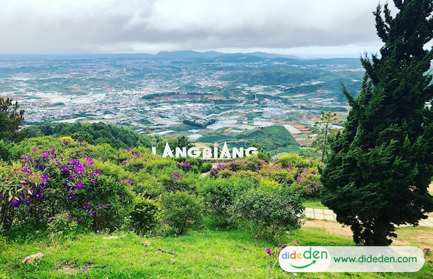 vé máy bay tết hà nội đi đà lạt - núi langbiang