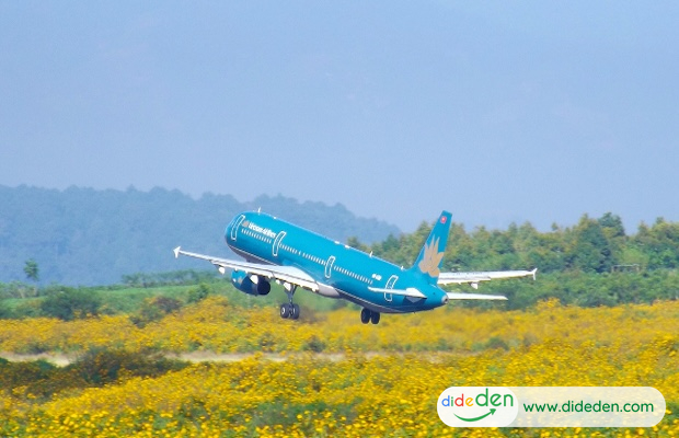 Cách mua vé máy bay Tết Hà Nội đi Đà Lạt chi tiết nhất