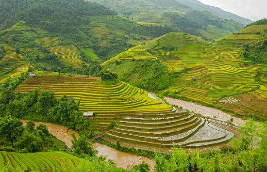 mua vé máy bay vietnam airlines giá rẻ từ sài gòn đi thanh hóa