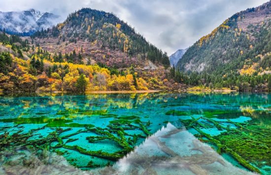săn vé máy bay giá rẻ hà nội đi thành đô