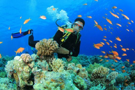 đặt vé máy bay đi nha trang vietjet air