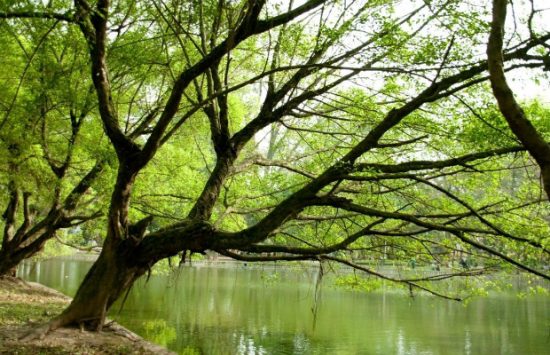 đặt vé máy bay tphcm hà nội giá rẻ