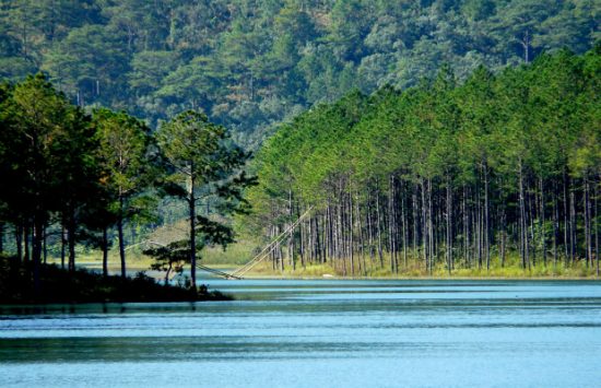 vé máy bay vietjejt air vinh đà lạt