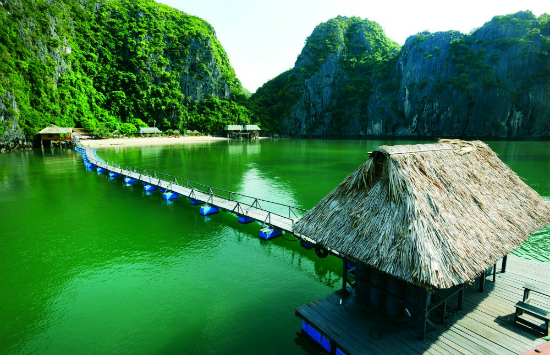 đặt vé máy bay giá rẻ vietnam airlines từ tphcm đi hải phòng