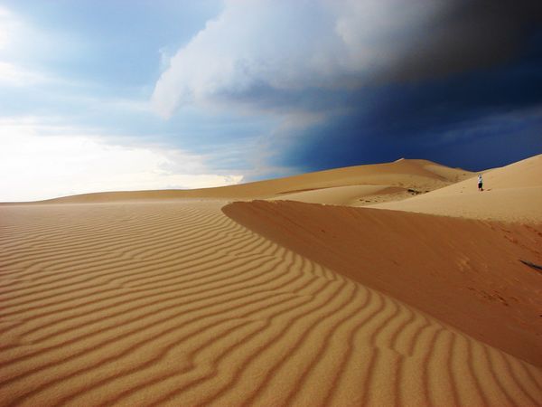 Bí kíp đi du lịch Phan Thiết chi tiết