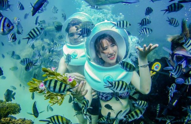 kinh nghiem du lich phu quoc - lan ran san ho nam dao phu quoc