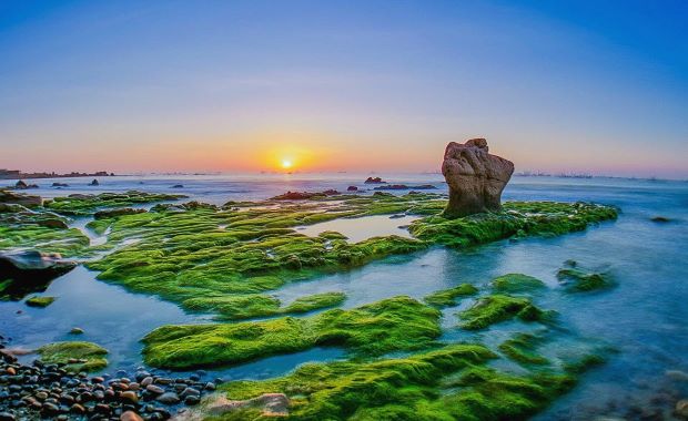 du lich binh thuan - bien Co Thach