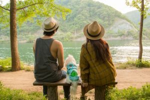 nên đi du lịch Hàn QUốc vào tháng mấy - Đảo Nami