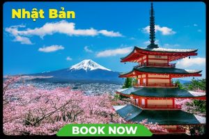 tour Nhật Bản 6 ngày 5 đêm - tour