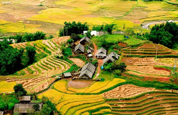 combo sapa 3 ngày 2 đêm 2023-Bản Tả Phìn