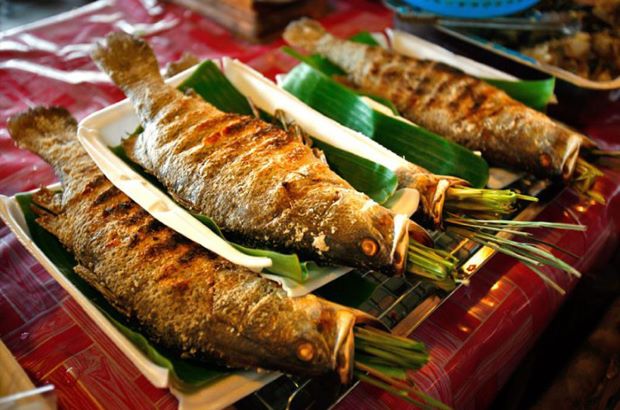 du lich Ban Lac 1 ngay - cá suối