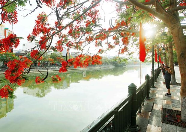 du lịch Hải Phòng 2 ngày 1 đêm mùa du lịch