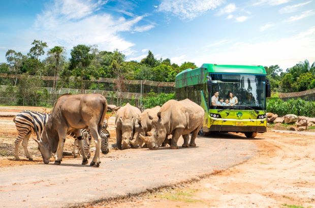 du lich tet Am lich trong nuoc Quy Mao 2023 - vinpearl safari