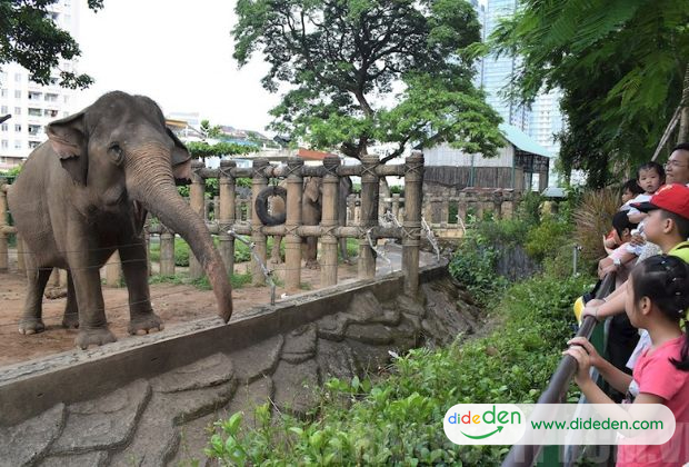 Du lịch 1 ngày nên đi đâu TPHCM - Thăm thú tại Thảo cầm viên 