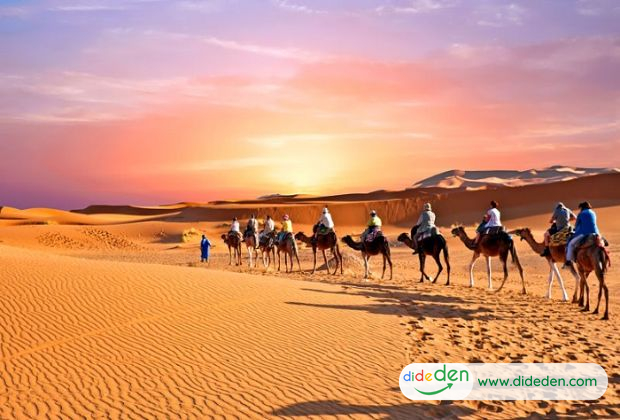 Du lịch Dubai 6 ngày 5 đêm - Sa mạc Safari Dubai