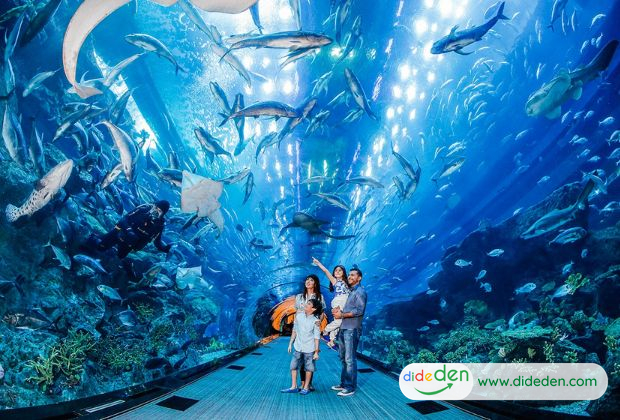 Du lịch Dubai 6 ngày 5 đêm - Thủy cung Dubai Aquarium