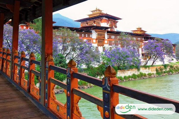 Tour Bhutan từ HCM - Hoa tử đinh hương nở rộ bên sông