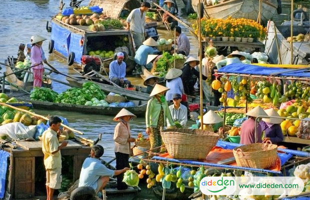 Can Tho ecotourism-Phong Dien floating market
