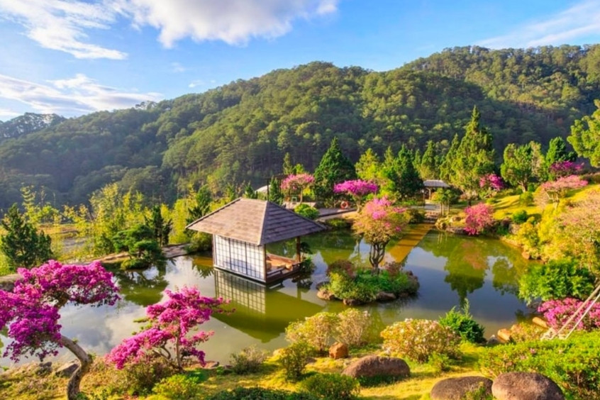 Bạn đang khó chịu vì cái nóng 40°C ở Sài Gòn, bạn đã biết Đà Lạt đi mùa nào đẹp nhất chưa?