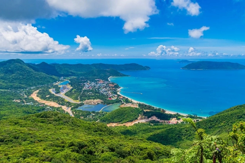 Vi vu Côn Đảo, bắt trọn khoảnh khắc mùa hoa đỗ mai nở rộ. Nắm trọn bí kíp để không bỏ lỡ