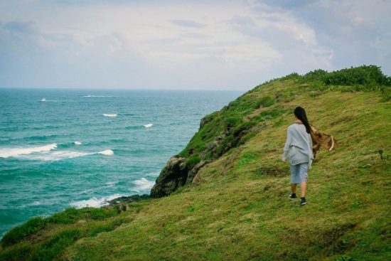 Cánh đồng hoa vàng tại Bãi Xép