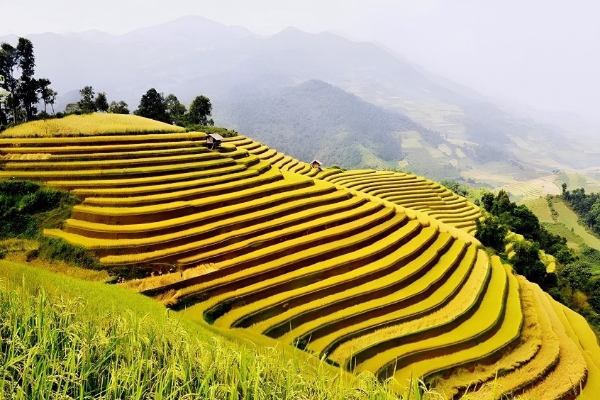 Khám phá Tây Bắc dễ dàng với cách đặt vé máy bay đi Điện Biên giá rẻ cùng Dideden