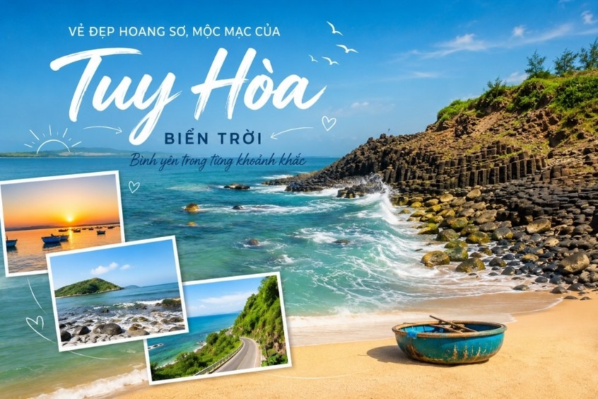 Học cách đặt vé máy bay đi Tuy Hoà giá rẻ cùng Dideden khám phá xứ sở hoa vàng cỏ xanh
