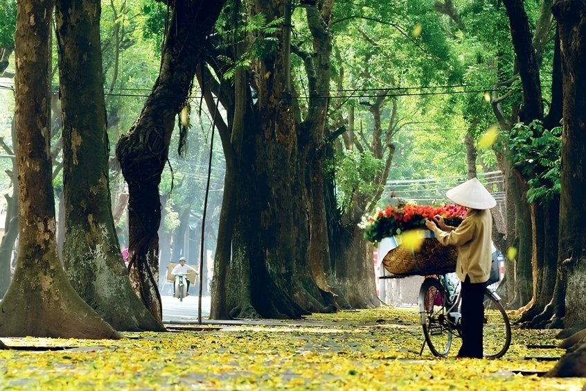 Dideden dẫn lối bạn ra thủ đô văn hiến nhờ cách đặt vé máy bay từ Huế đi Hà Nội giá rẻ