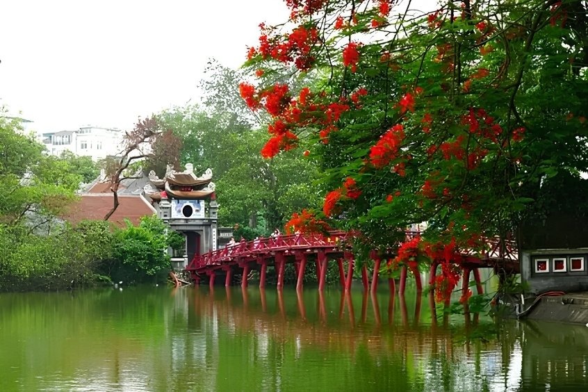 Bay cùng Dideden: Cách đặt vé máy bay từ Nha Trang đi Hà Nội giá rẻ cực đỉnh