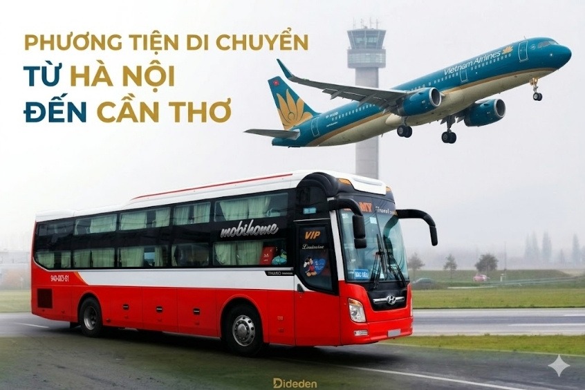 Top phương tiện di chuyển từ Hà Nội đến Cần Thơ – Khám phá cùng Dideden !